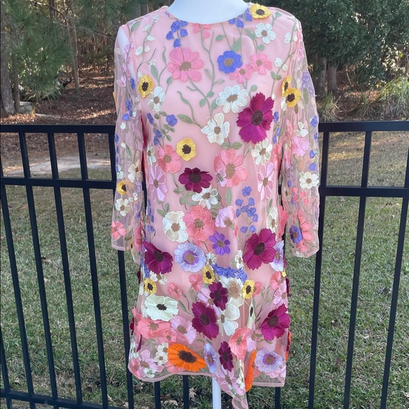 Storia Dresses & Skirts - Storia Sheer Dress with Full Length Liner and  Floral Embroidery